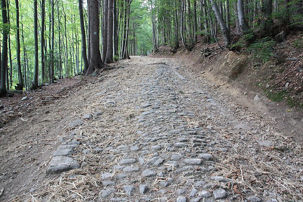 Kamenitá cesta Révaiovskou dolinou