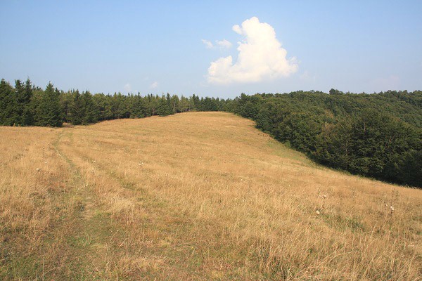 Travnatý hřeben od vrcholu Janková