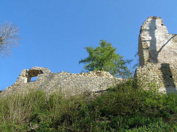 Hrad Brandýs nad Orlicí