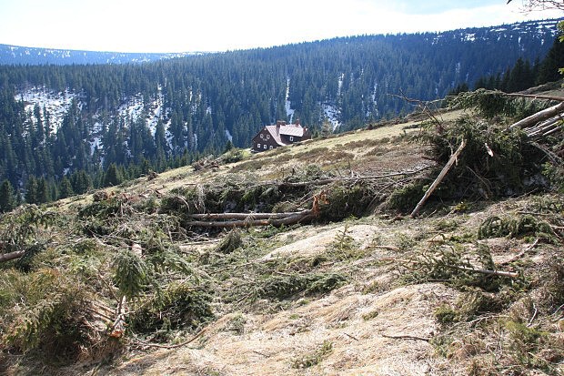 Laviniště po únorové lavině v Modrém dole v roce 2015