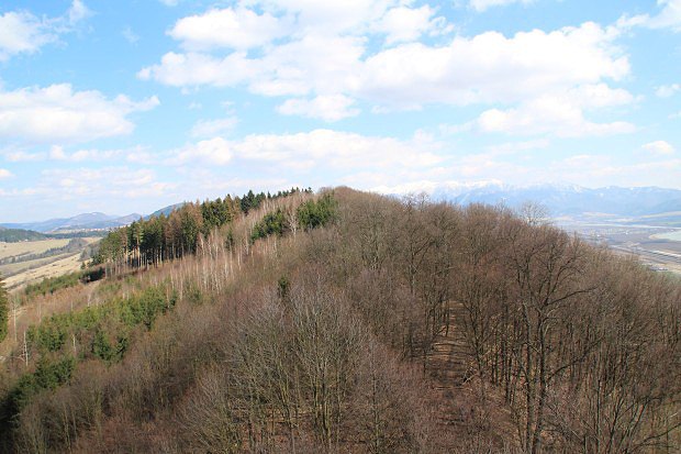 Pohled východním směrem z rozhledny na vrchu Dubeň
