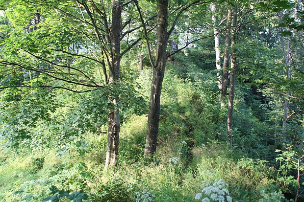 Fürstenwalde, skalní ostroh