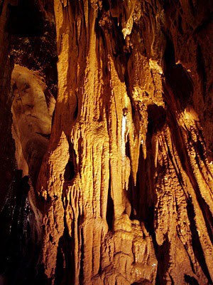 Javoříčské jeskyně, krasová výzdoba