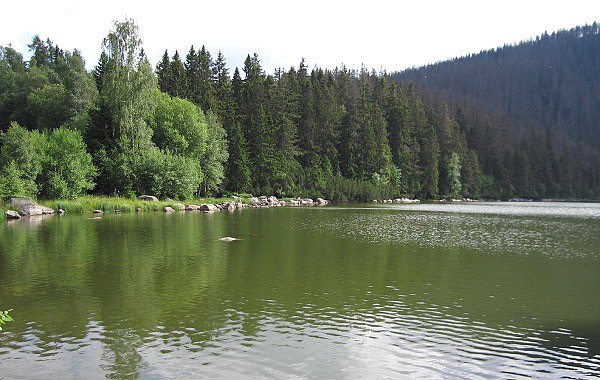 Šumava - Plešné jezero