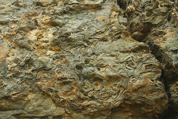 Skaln stna s kamennmi remi na Stezivojickm piku
