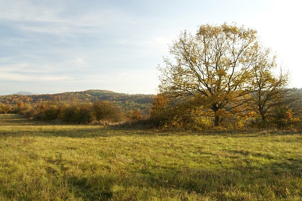 Podzim v Mučínské vrchovině z cesty k rozhledně nad  obcí Lipovany