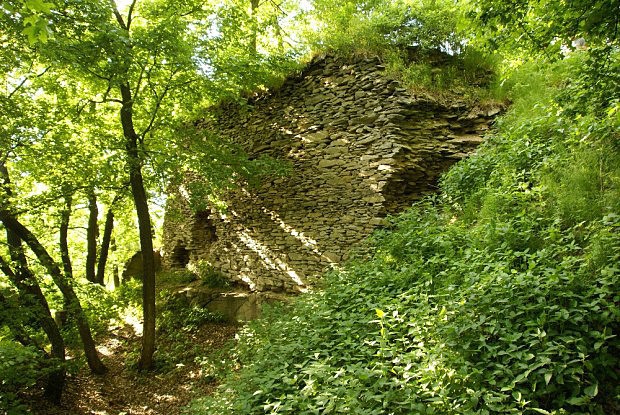 Hrad Litýš - zbytky hradního zdiva