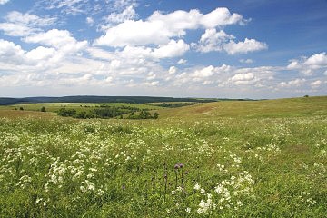 Louky a pastviny nad Moldavou