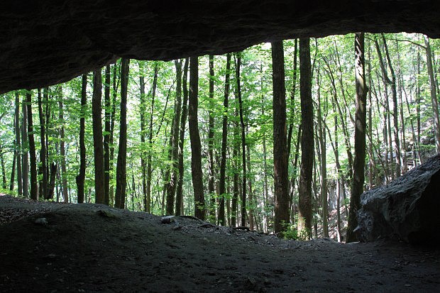 Mažarná jaskyňa, vstupní portál