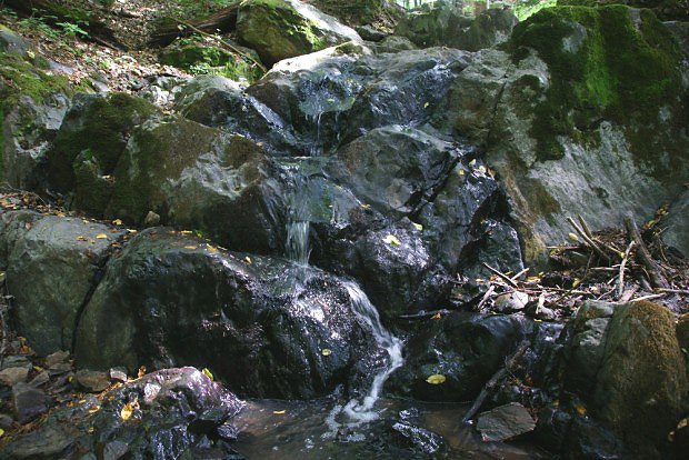 Detail jednoho z Milonických vodopádů v metabazaltech