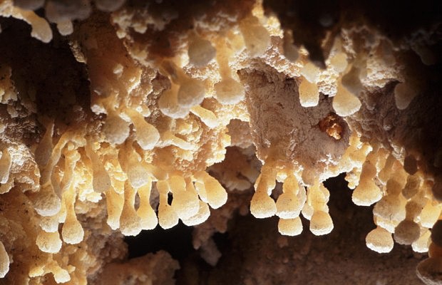 Pisolity, jeskyně Na Turoldu