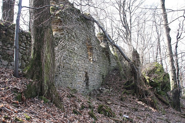Torzo hradu Obřany