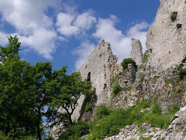 Horní hrad, Plavecký hrad
