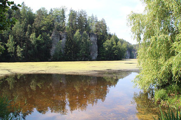 Věžický rybník v Podtroseckých údolích