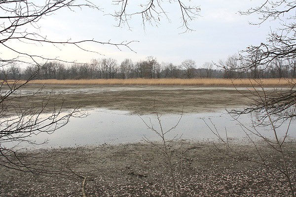 Některé z rybníků jsou vypuštěné