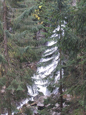 Roháčský vodopád se skrývá za stromy
