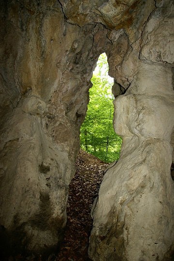 Hradn jeskyn - pohled ke vchodu z nitra jeskyn