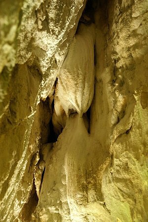Jedlie - nejhez sintrov tvar jeskyn