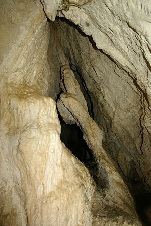 arnovsk jeskyn - zvtral mohutn krpnk