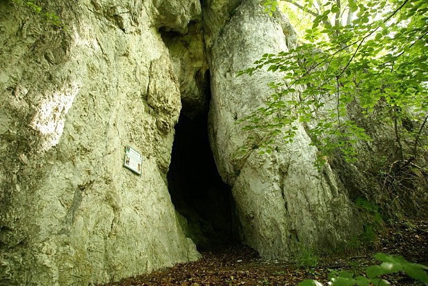 arnovsk jeskyn - mohutn vchod do jeskyn