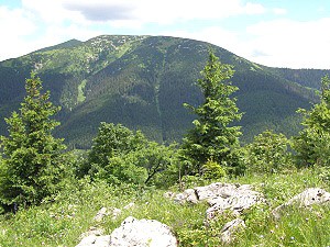 Kozí chrbát, pohled na Nízké Tatry