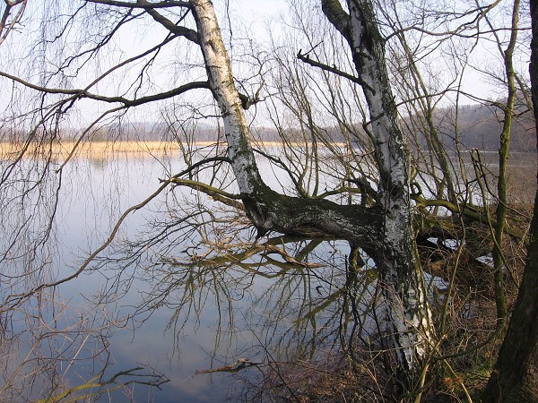 Rybník Štěpán