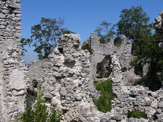 Zbytky hradu se utápějí v husté vegetaci