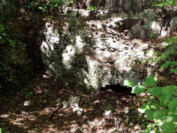 Nepatrn zbytky hradnch zd hradu Teplica