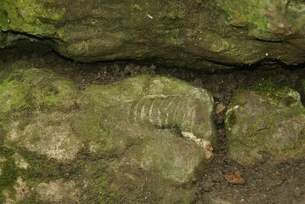 Zkamenlina ve vpenci nad Tetnskm vodopdem