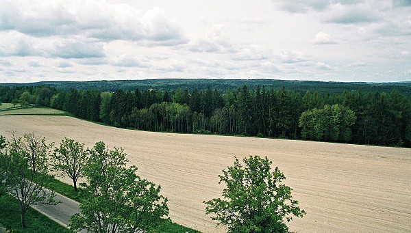 Výhled z Toulovcovy rozhledny na krajinu Přírodní rezervace Maštale