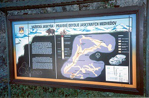 Informační tabule medvěd jeskynní