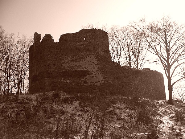 Vikštejn, jádro hradu