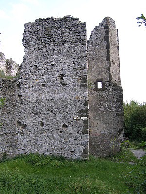 Jádro paláce, Viniansky hrad