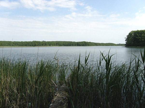Jezero Czajcze