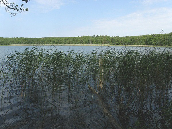 Jezero Czajcze