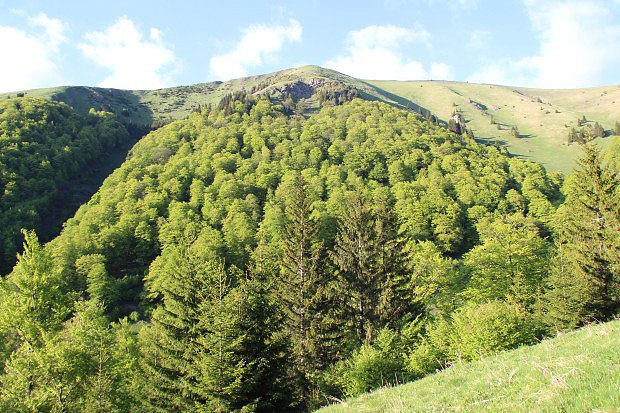 V horní větvi doliny Dedošovo - Veterné