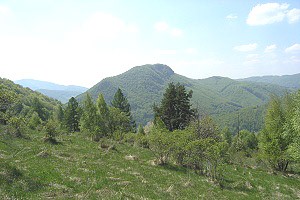 Hradová (887 m)