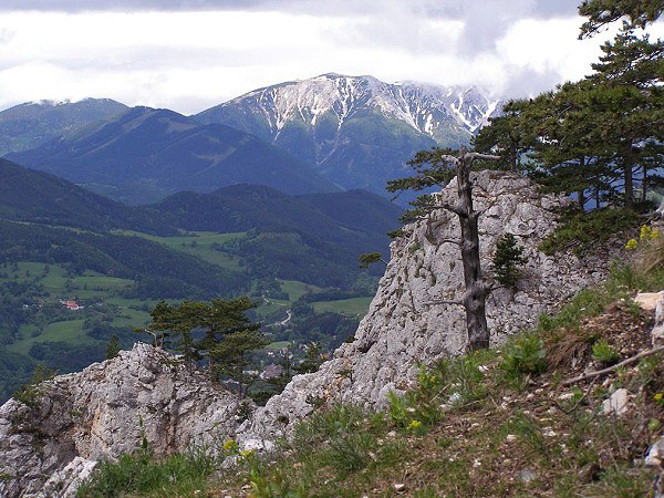 Výhled z úpatí Hohe Wandu na Schneeberg