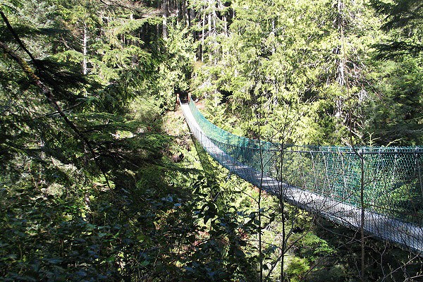 Visutý most přes Loss Creek