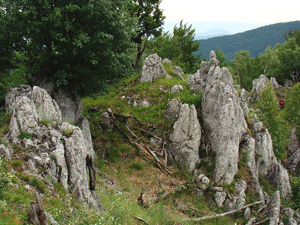 Bokšovská skala
