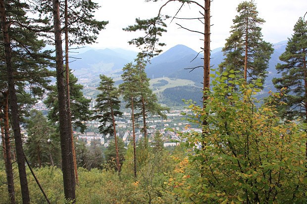 Výhledy skrz stromy na město Ružomberok