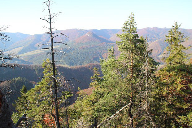 Výhled od vrchu Sokol