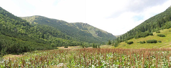 Horní část doliny Štiavnica