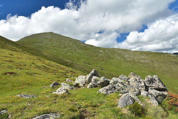 Výstup na Greim (2471 m) vede z jihu po kvetoucích alpských loukách