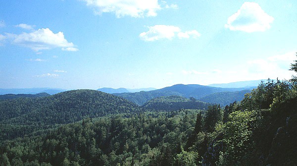 Lesy Slovenského rudohoří z Havraní skály