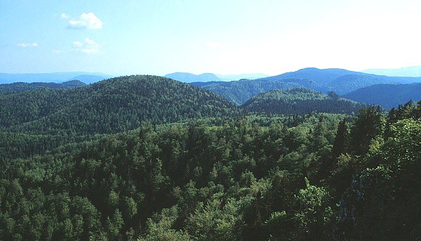 Lesy Slovenského rudohoří z Havraní skály
