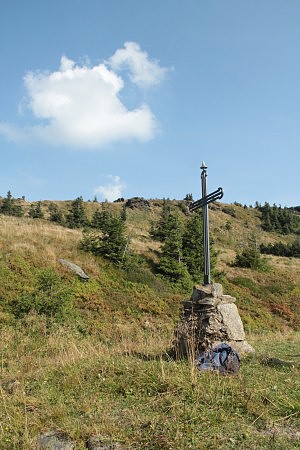 Kříž u Vřesové studánky