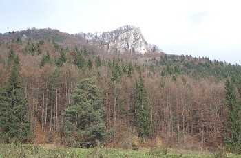 Katova skala z Kantorskej doliny