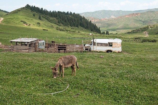 Pastviny mezi Džety-Oguz a Čong-Kyzyl-Suu