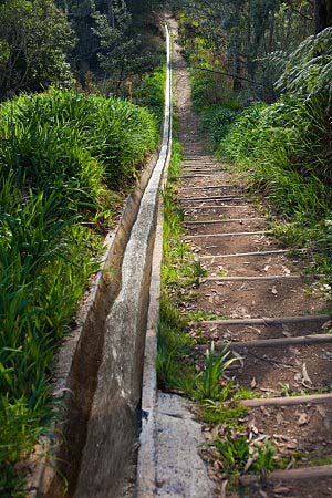 Levády - na Madeiře naleznete pár tisíc kilometrů těchto zavlažovacích kanálů
